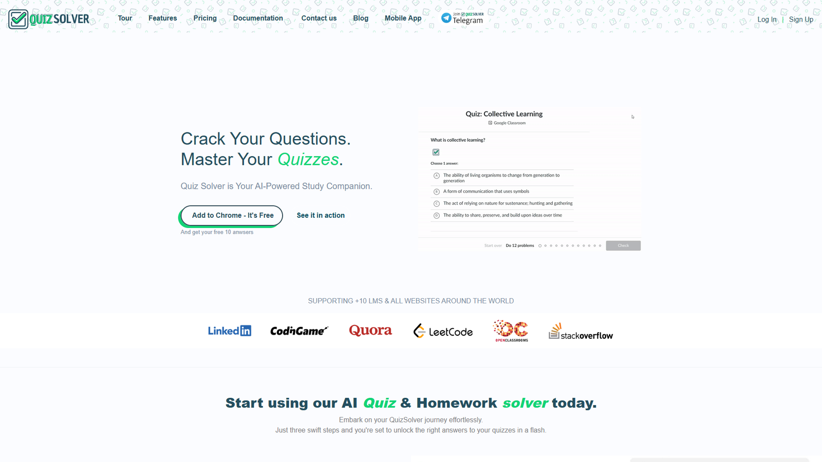 Quiz Solver — интерфейс нейросети Quiz Solver — интерфейс нейросети