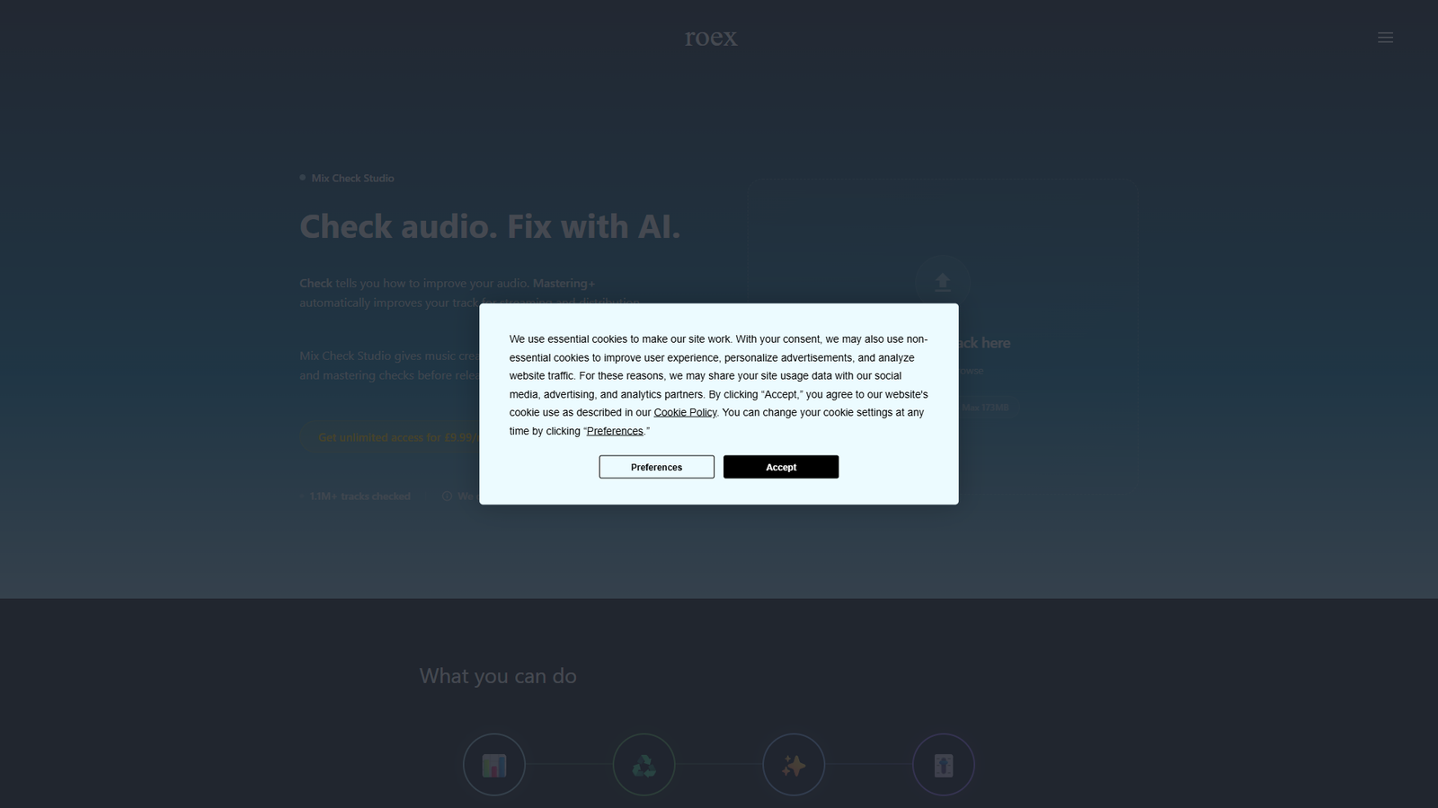 Mix Check Studio — интерфейс нейросети Mix Check Studio — интерфейс нейросети
