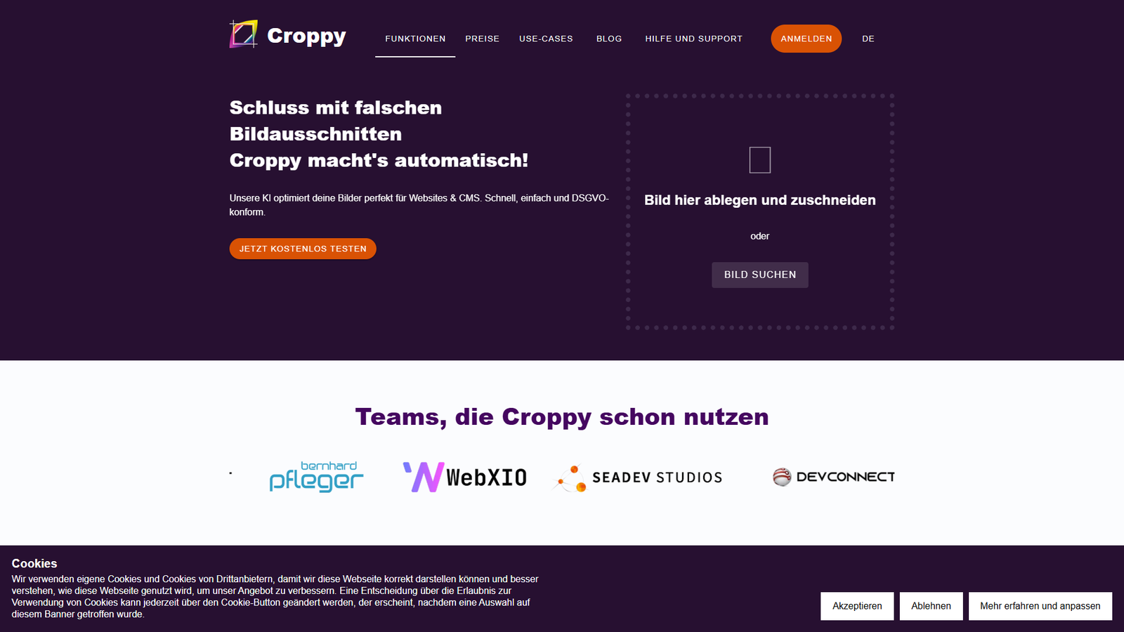 Croppy — интерфейс нейросети Croppy — интерфейс нейросети