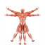 Dr. Muscle нейросеть Лого