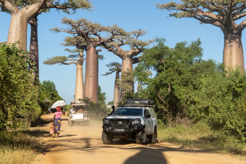 Best Countries for January Travel in Africa