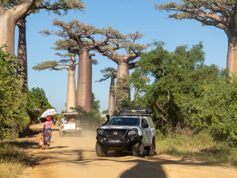 Best Countries for January Travel in Africa