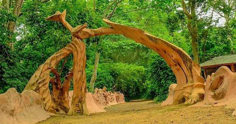 Sacred Spaces of Africa: Exploring Spiritual Sites and Beliefs, Osun‑Osogbo Sacred Grove