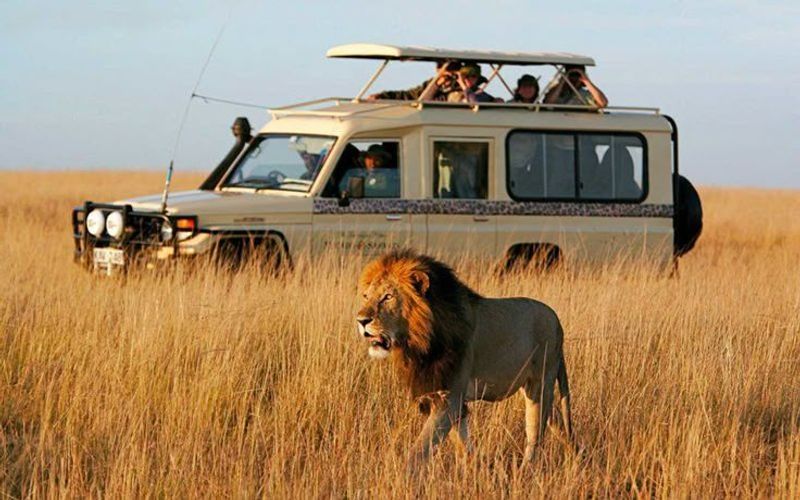 Tourism Investment