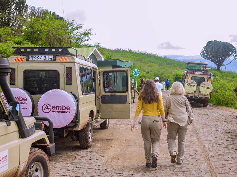 East Africa’s Best Safari Experiences for December Travelers