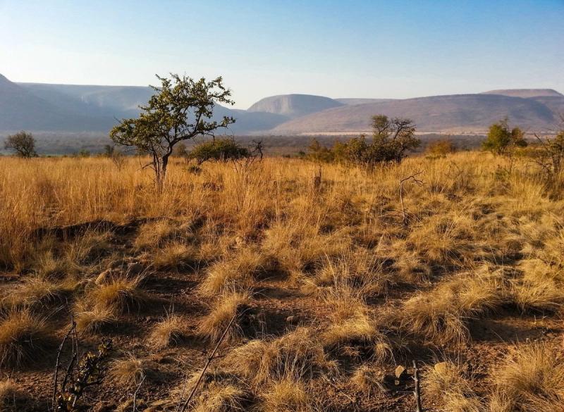 Wilderness Restoration: How Private Eco-Reserves Reclaim Degraded Farmland