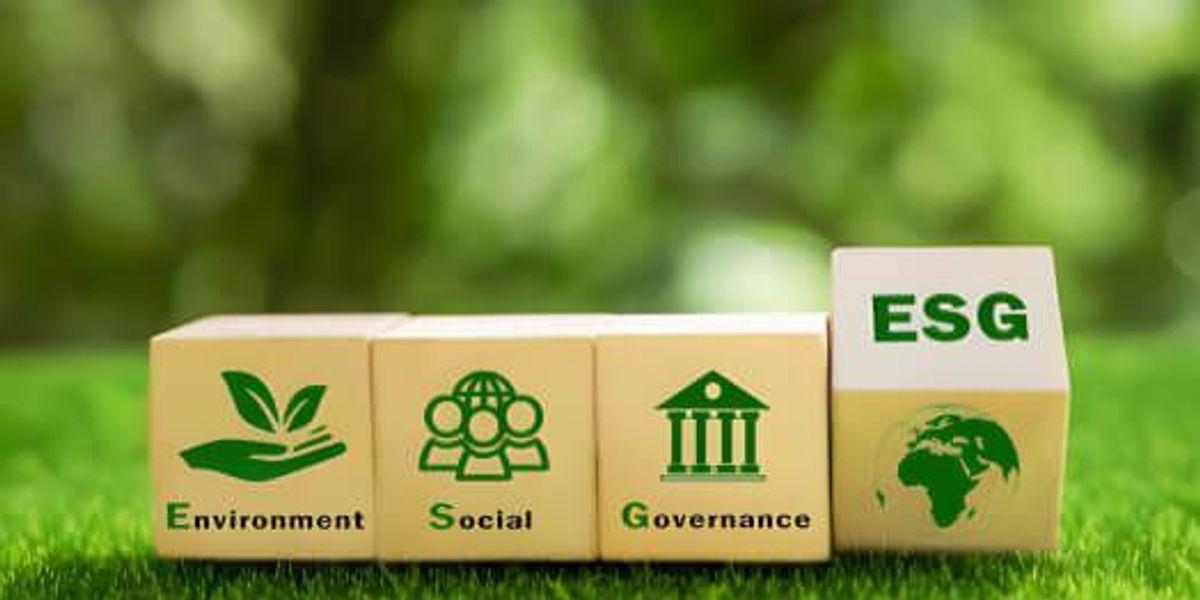 Corporate Sustainability: How African Brands Are Going Green