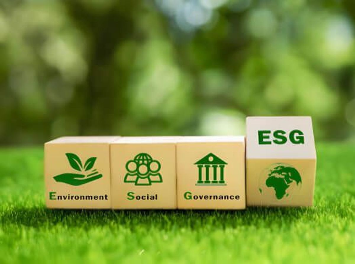Corporate Sustainability: How African Brands Are Going Green
