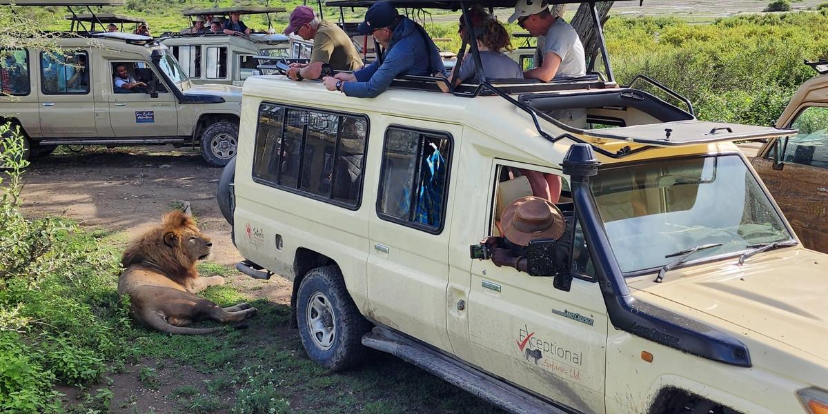 Why January Is Perfect for Exploring African National Parks