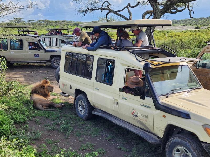 Why January Is Perfect for Exploring African National Parks