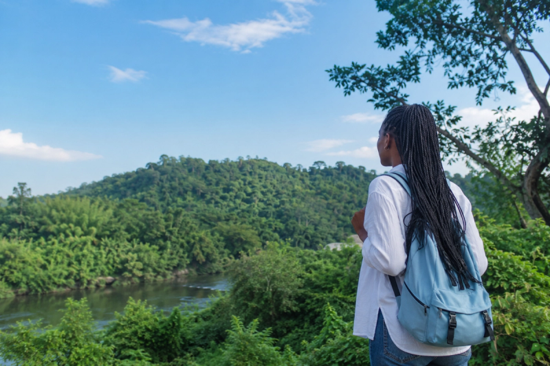 Rooted Journeys: The Growth of Sacred Forest Preservation Tourism
