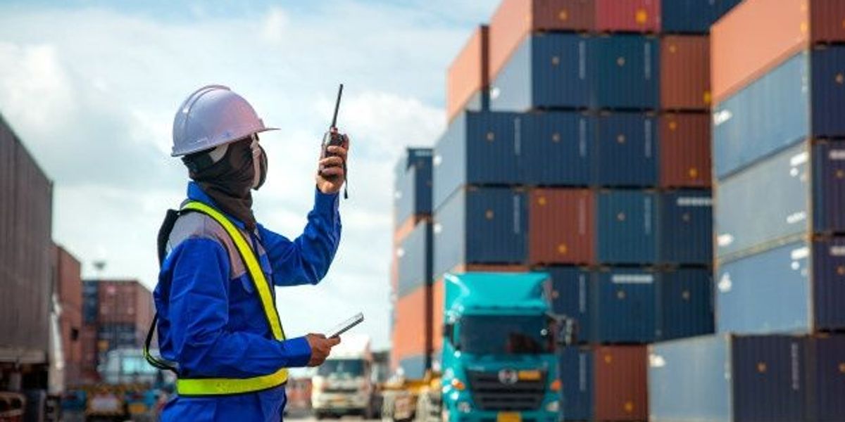 Import Export Business in Africa: Profitable Trade Routes and Products