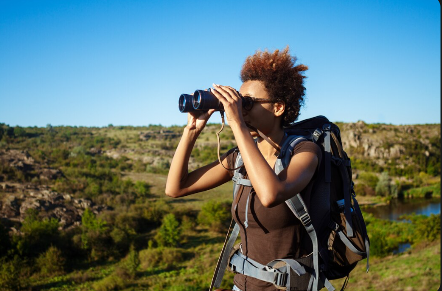 Top Safari Experiences in Africa You Should Try