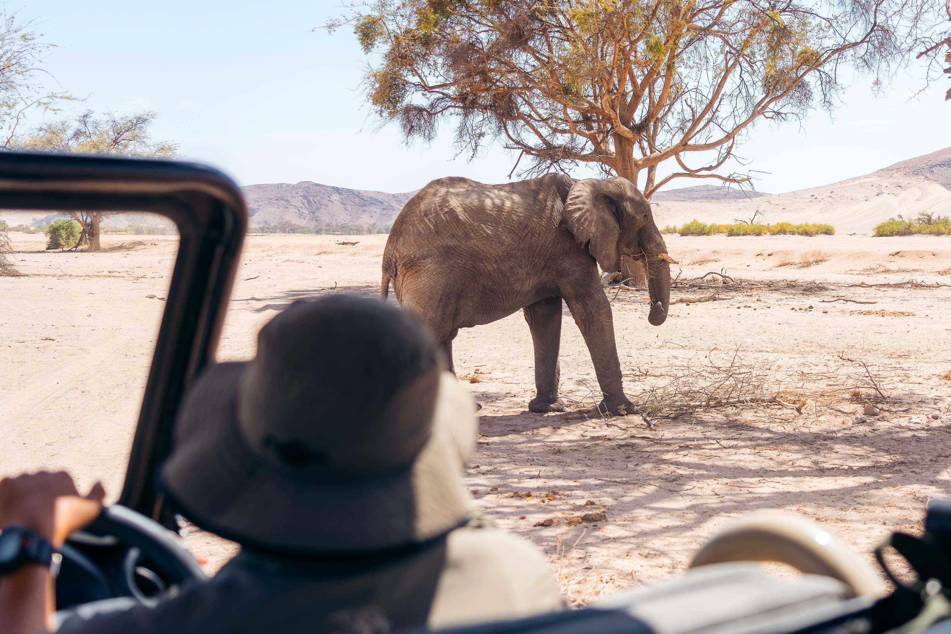 Save the Rhino Trust