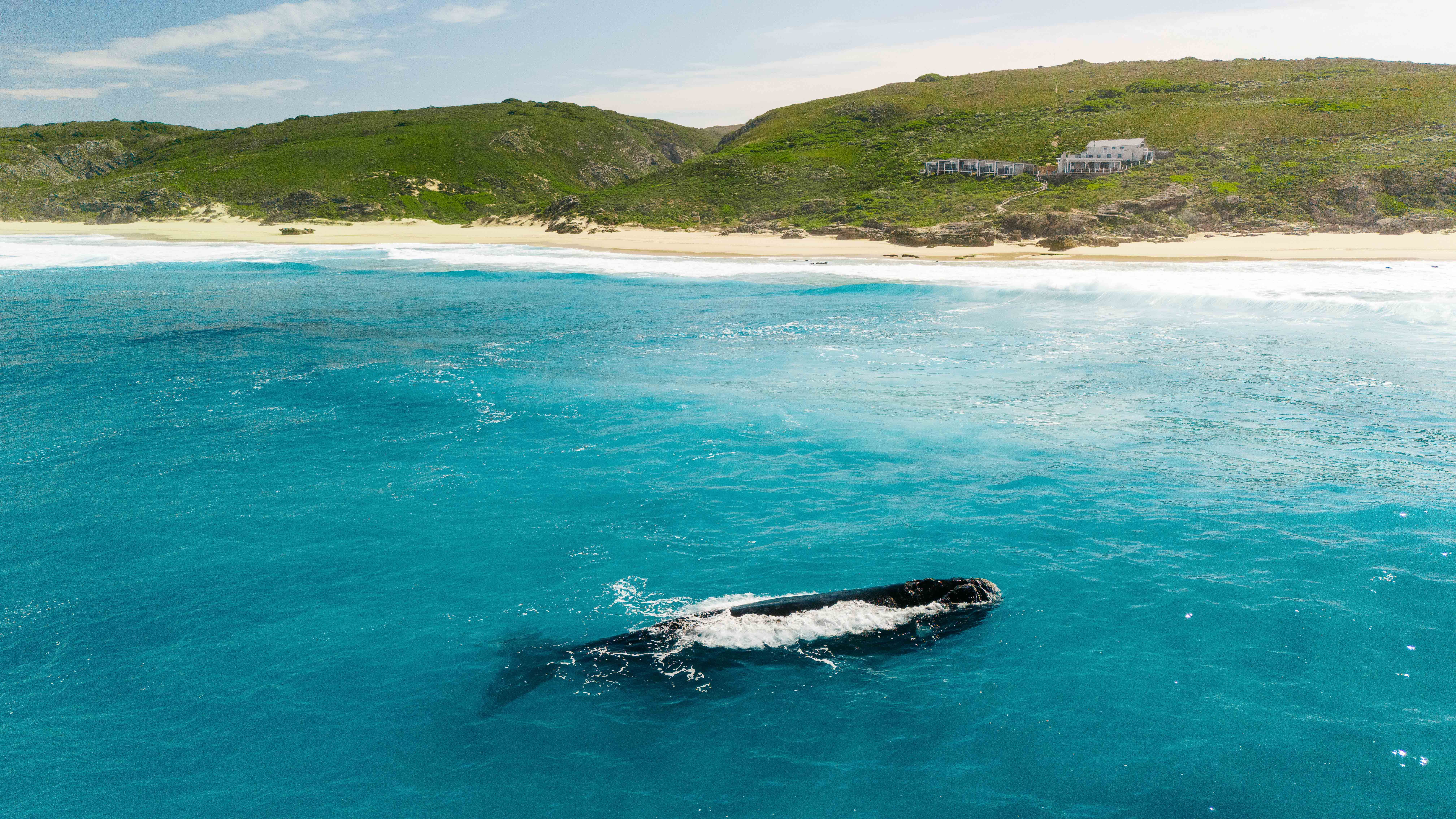 Lekkerwater Beach Lodge