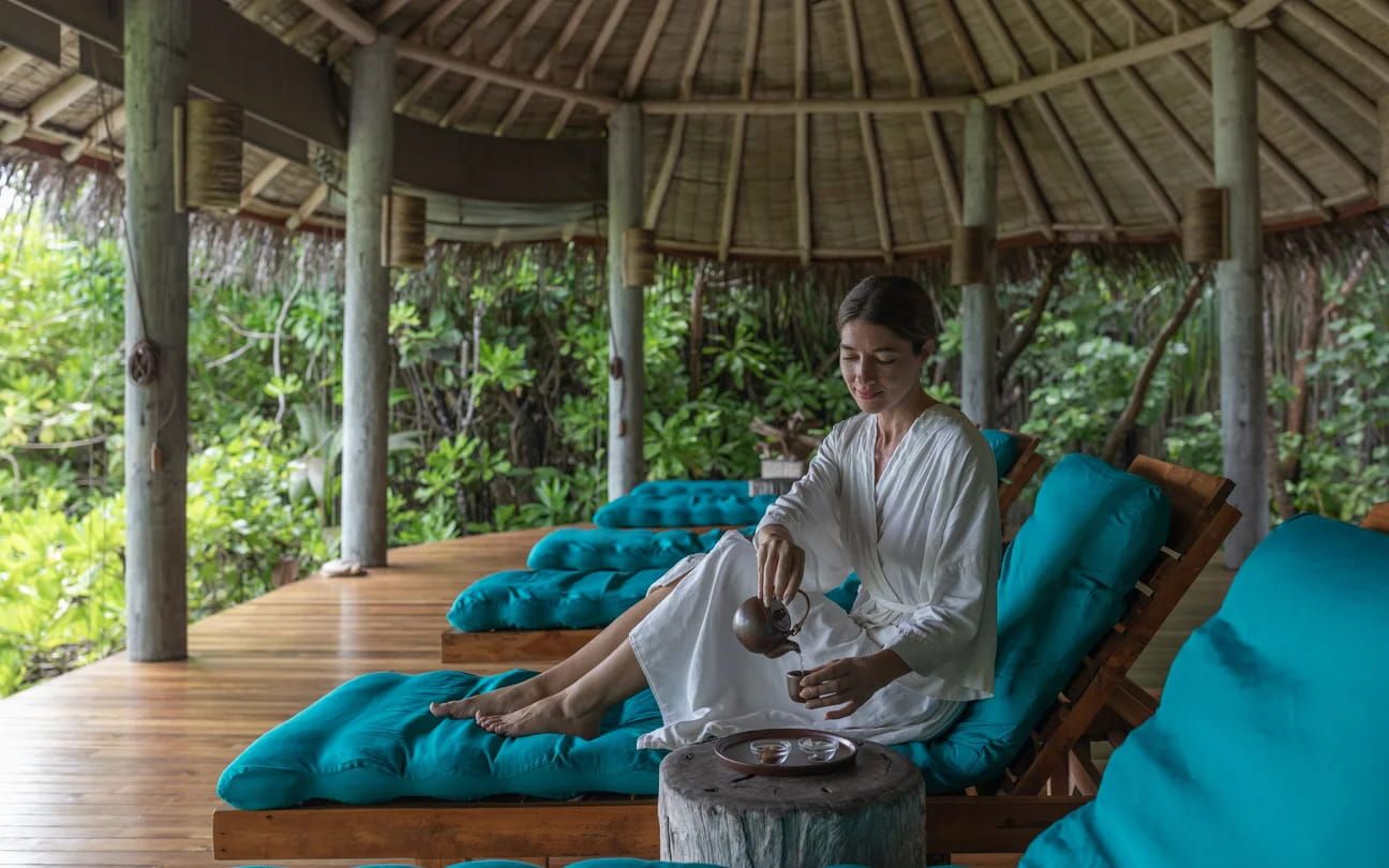 Wellness