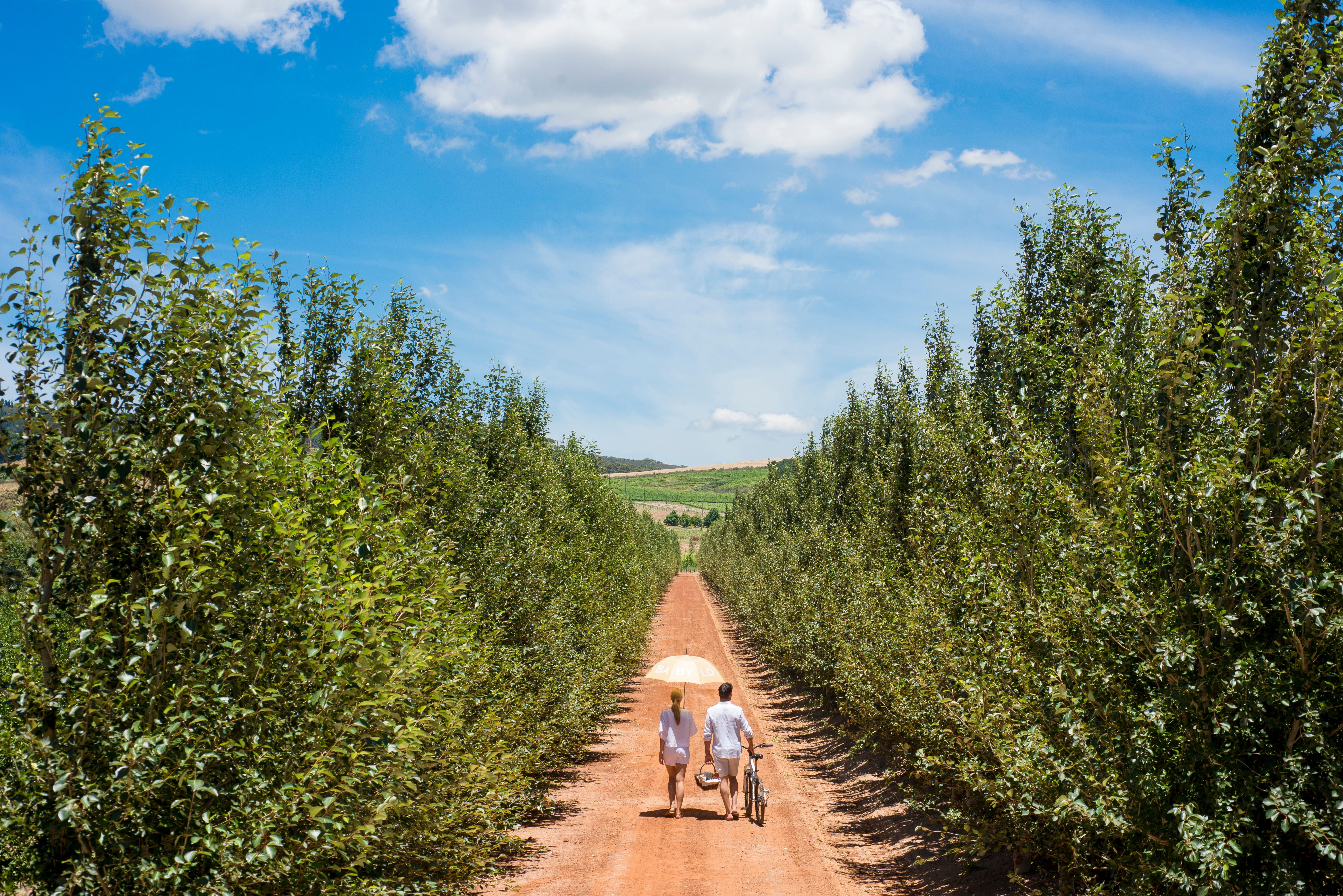 Babylonstoren