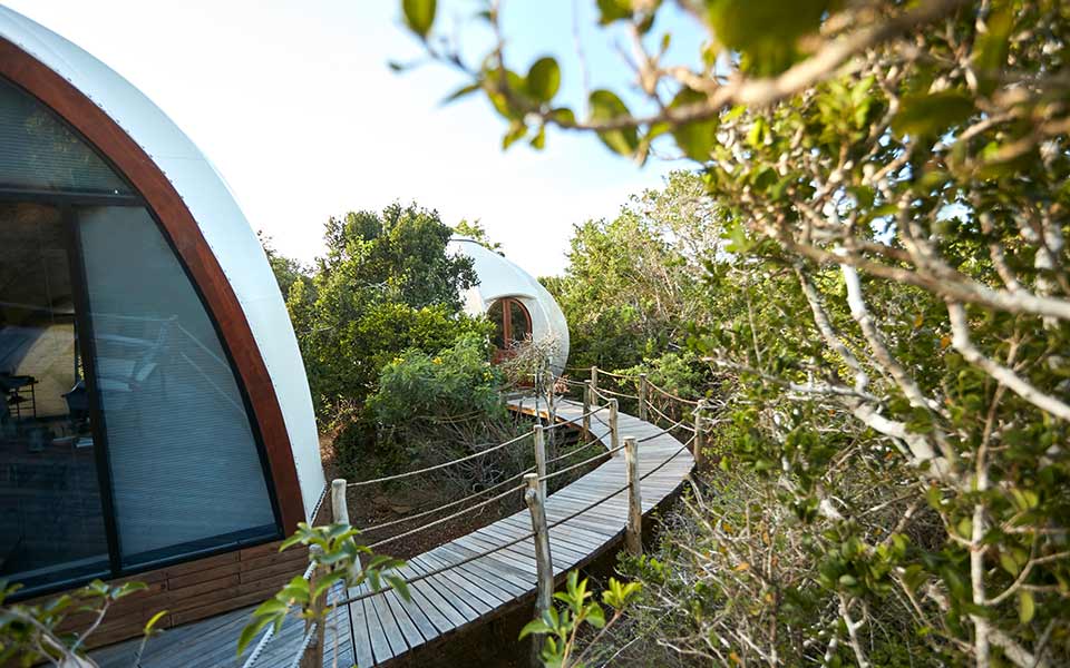 Cocoon Family Suite