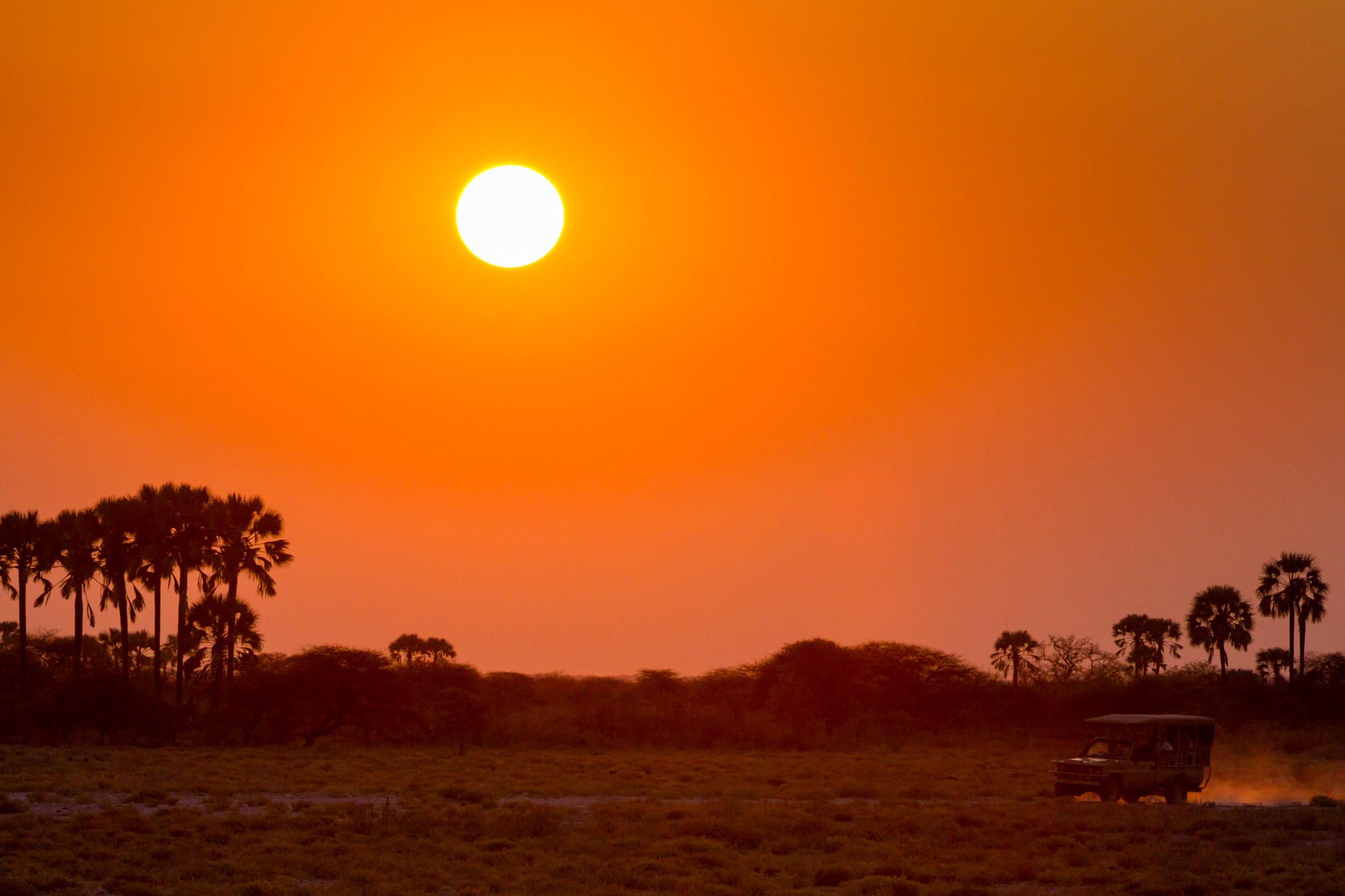 Sonnenuntergang über der Savanne