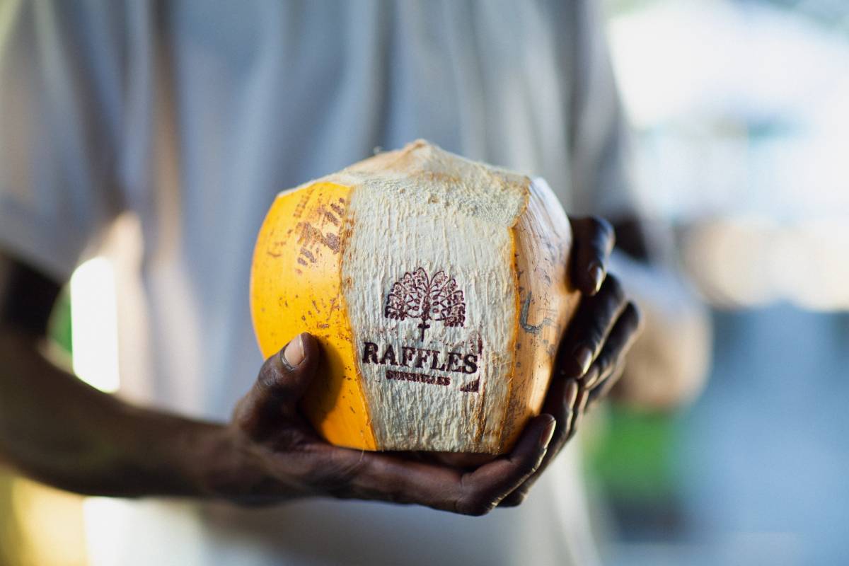 Coconut Raffles Seychelles