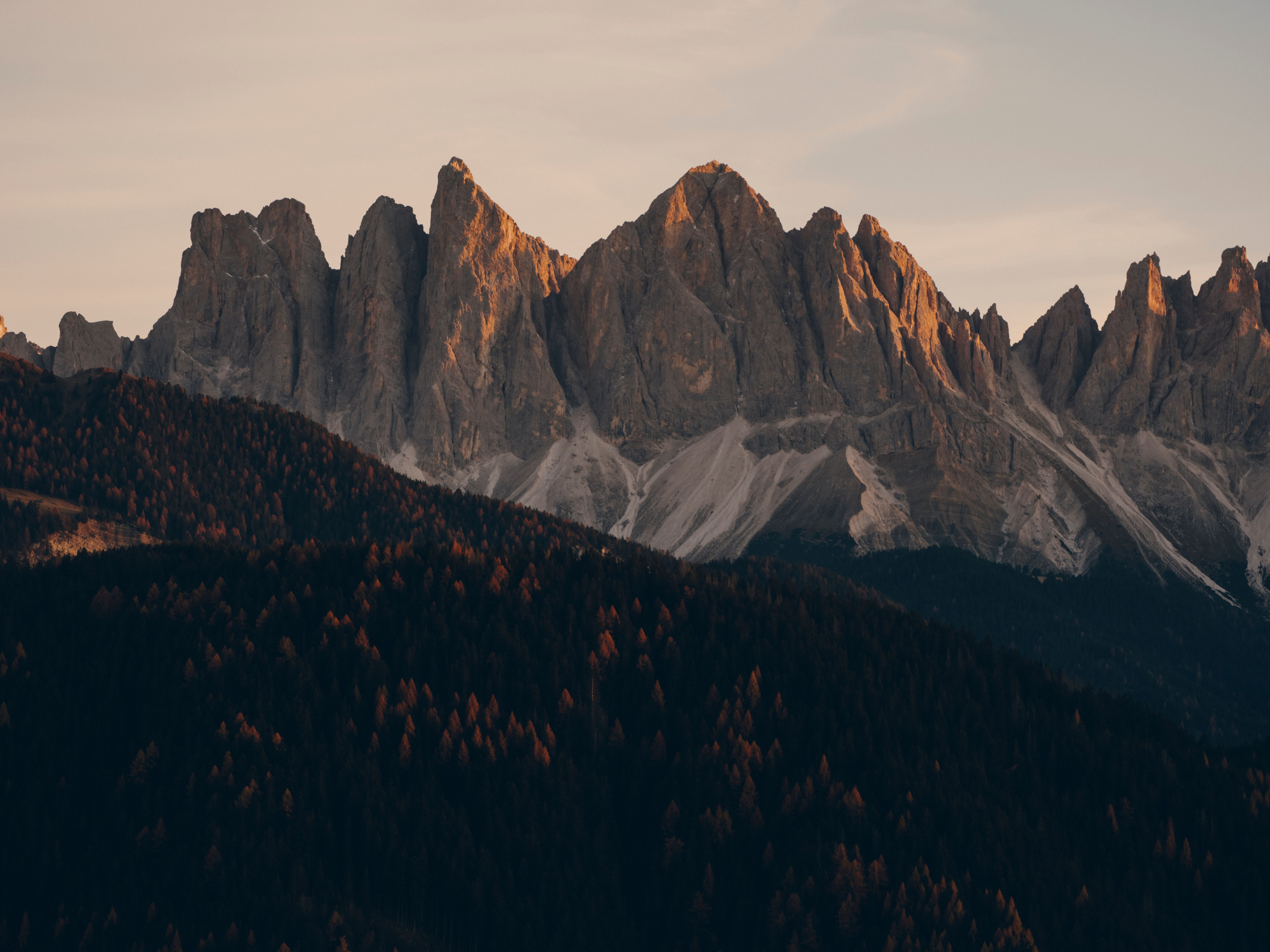 Forestis Dolomites