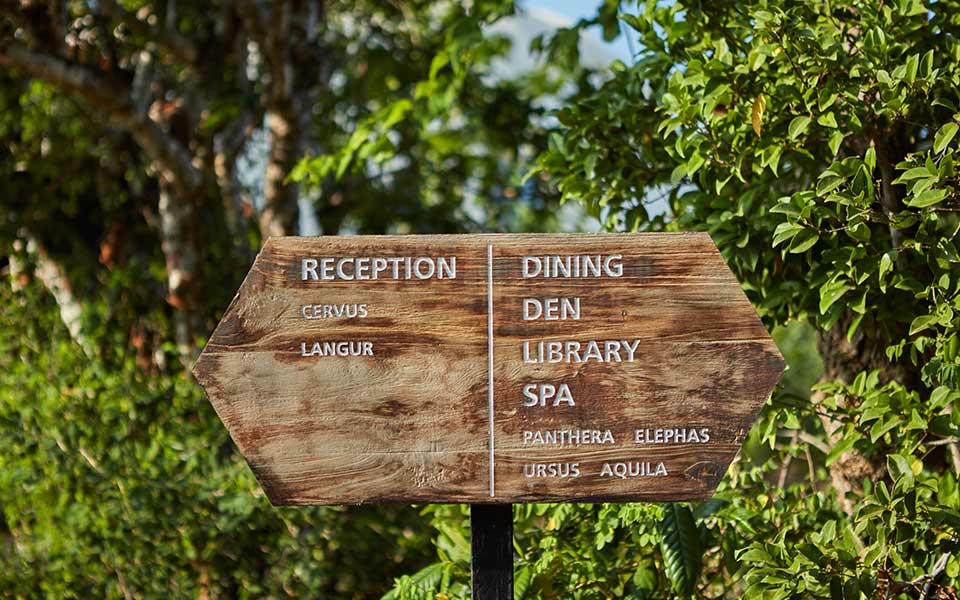 Lodge zwischen Busch und Strand