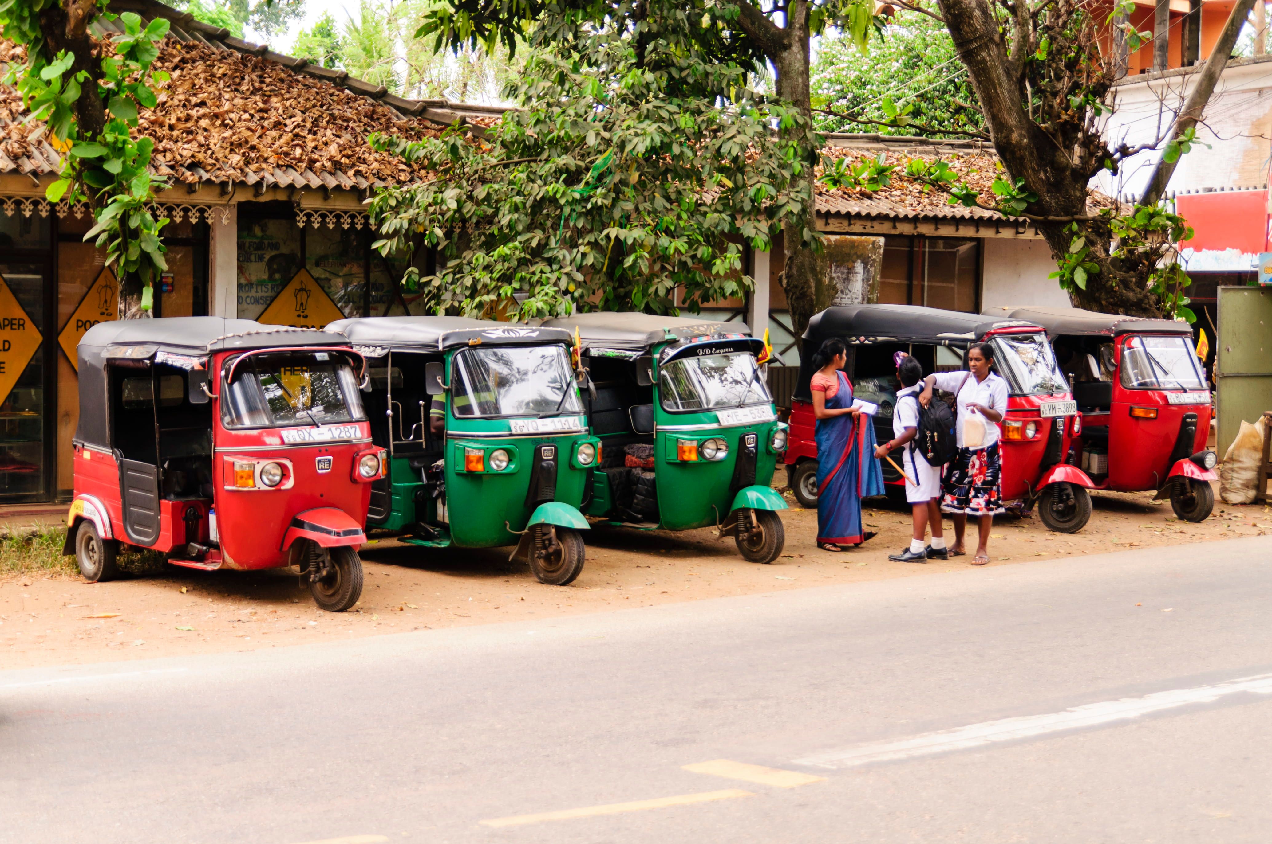 Impressionen aus Sri Lanka, image 2