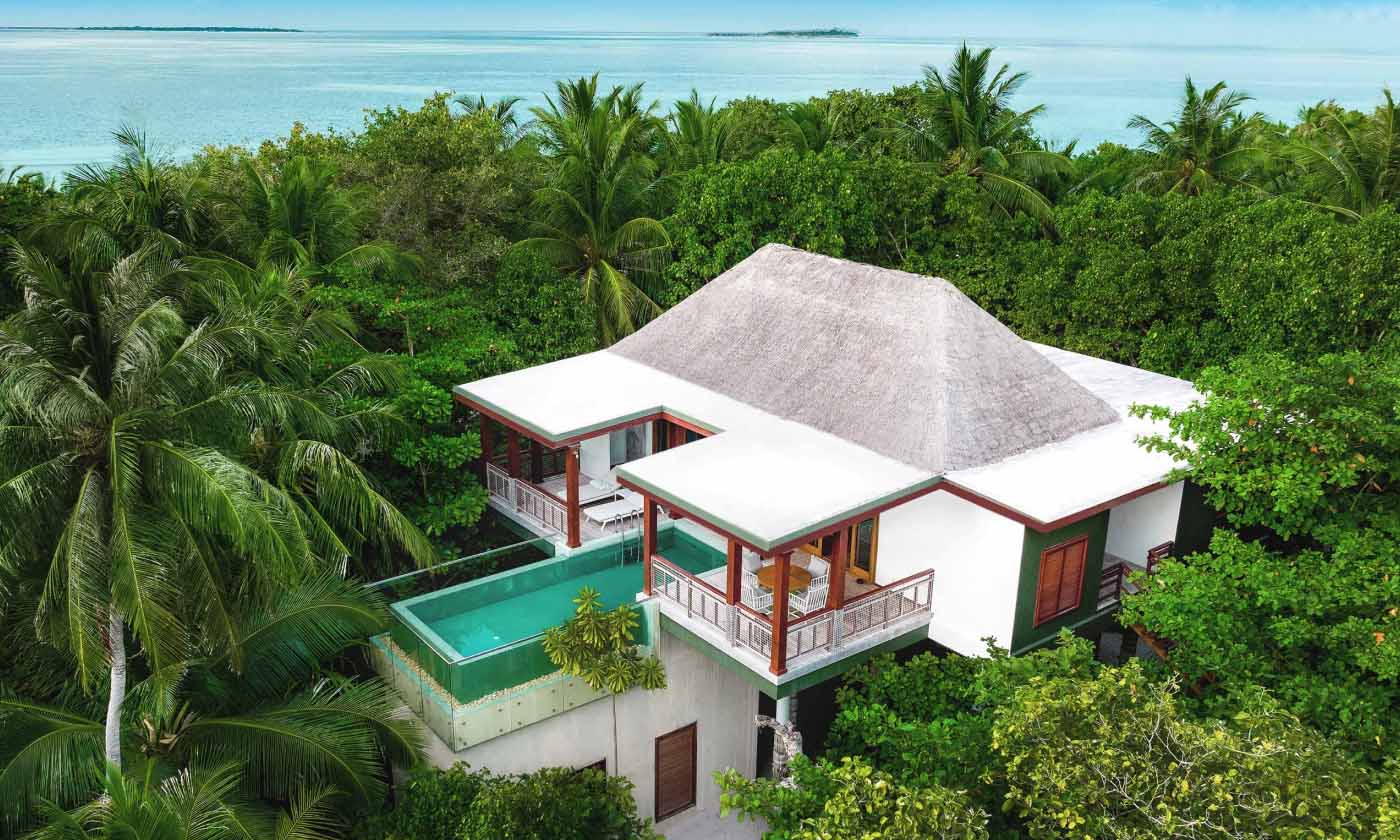 Amilla Treetop
