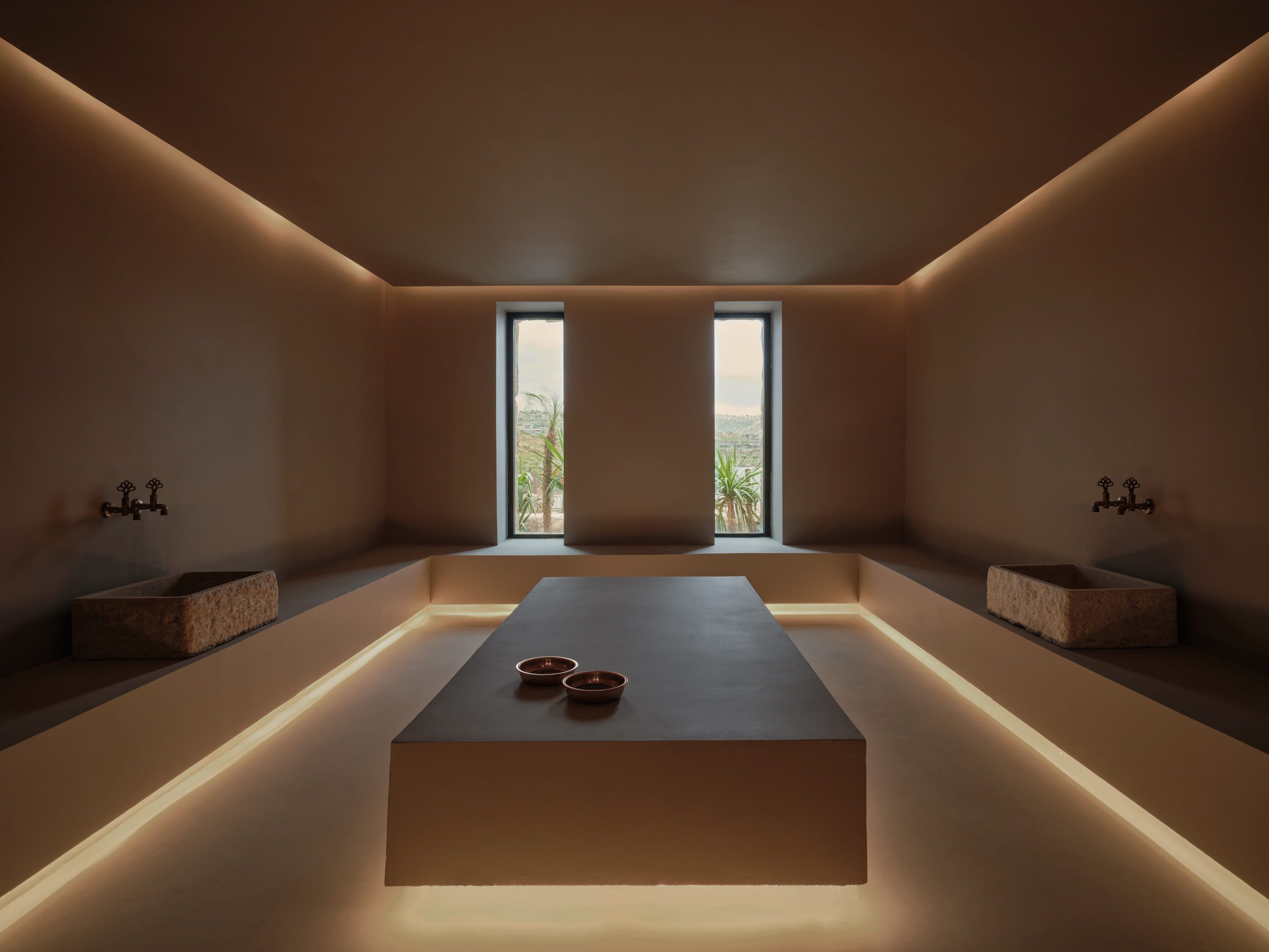 Wellness