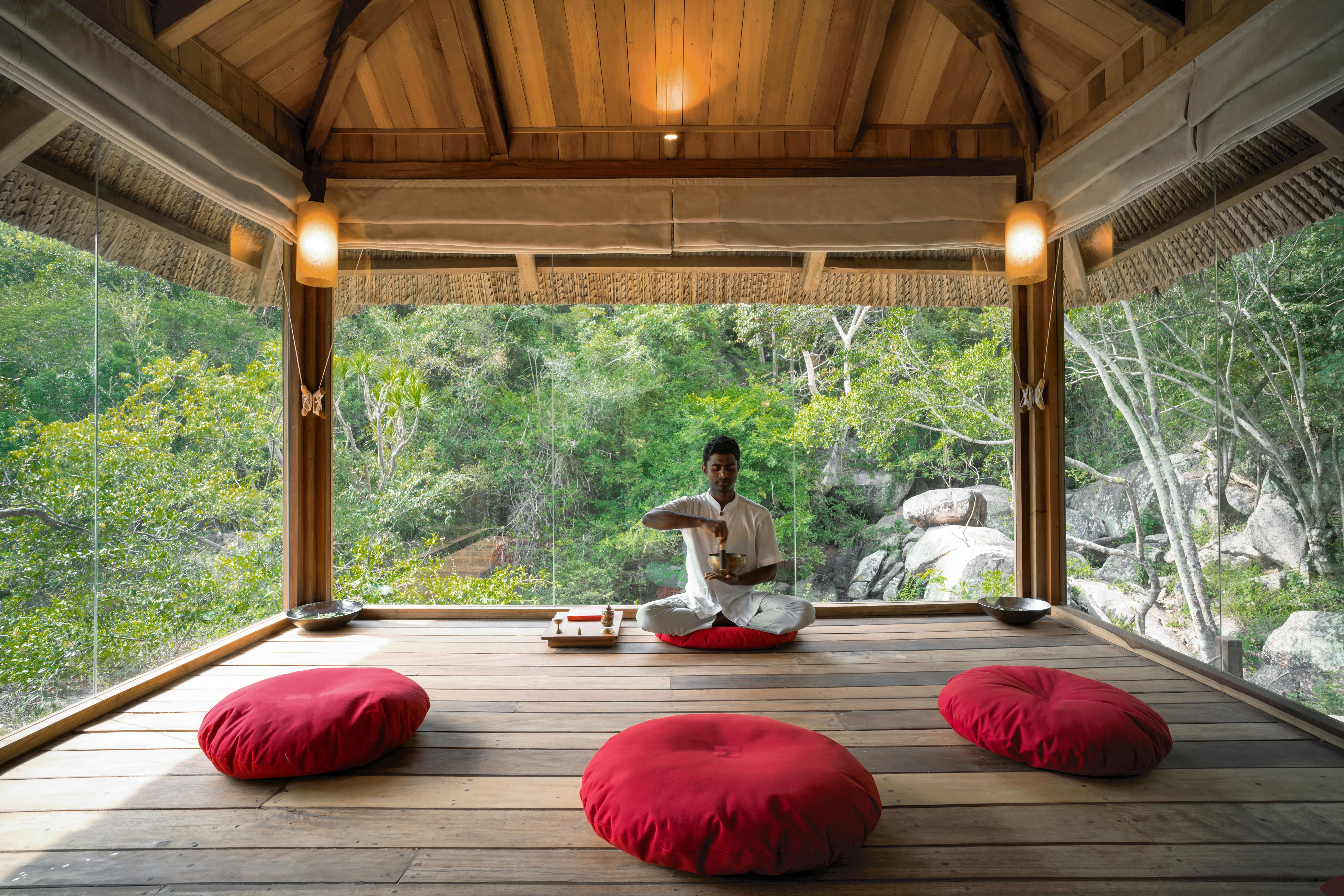 Wellness