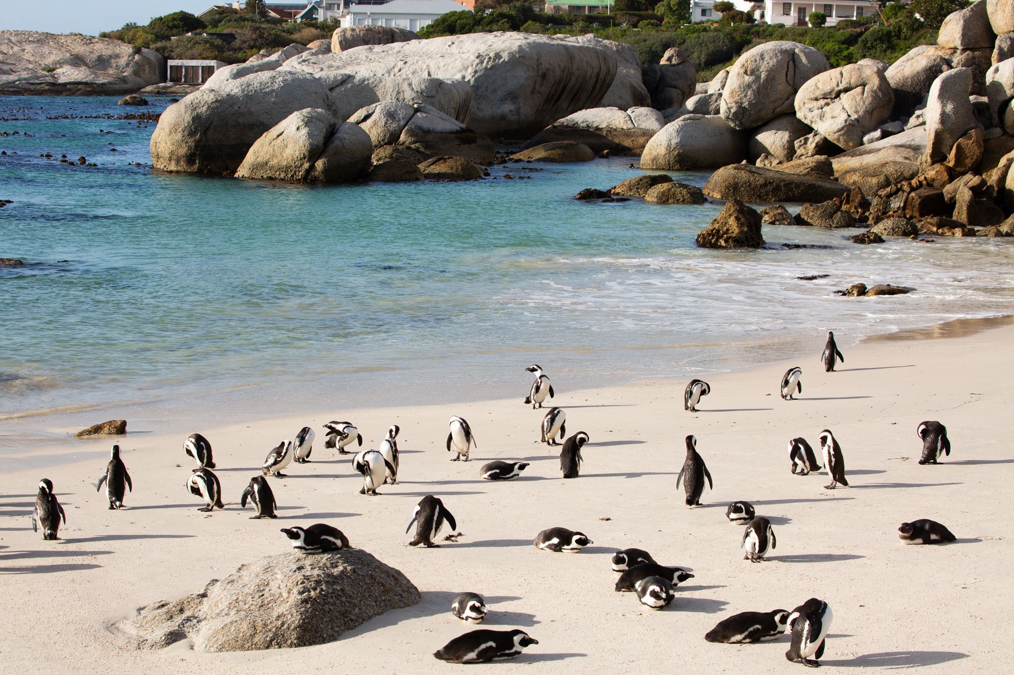 Tintswalo Boulders