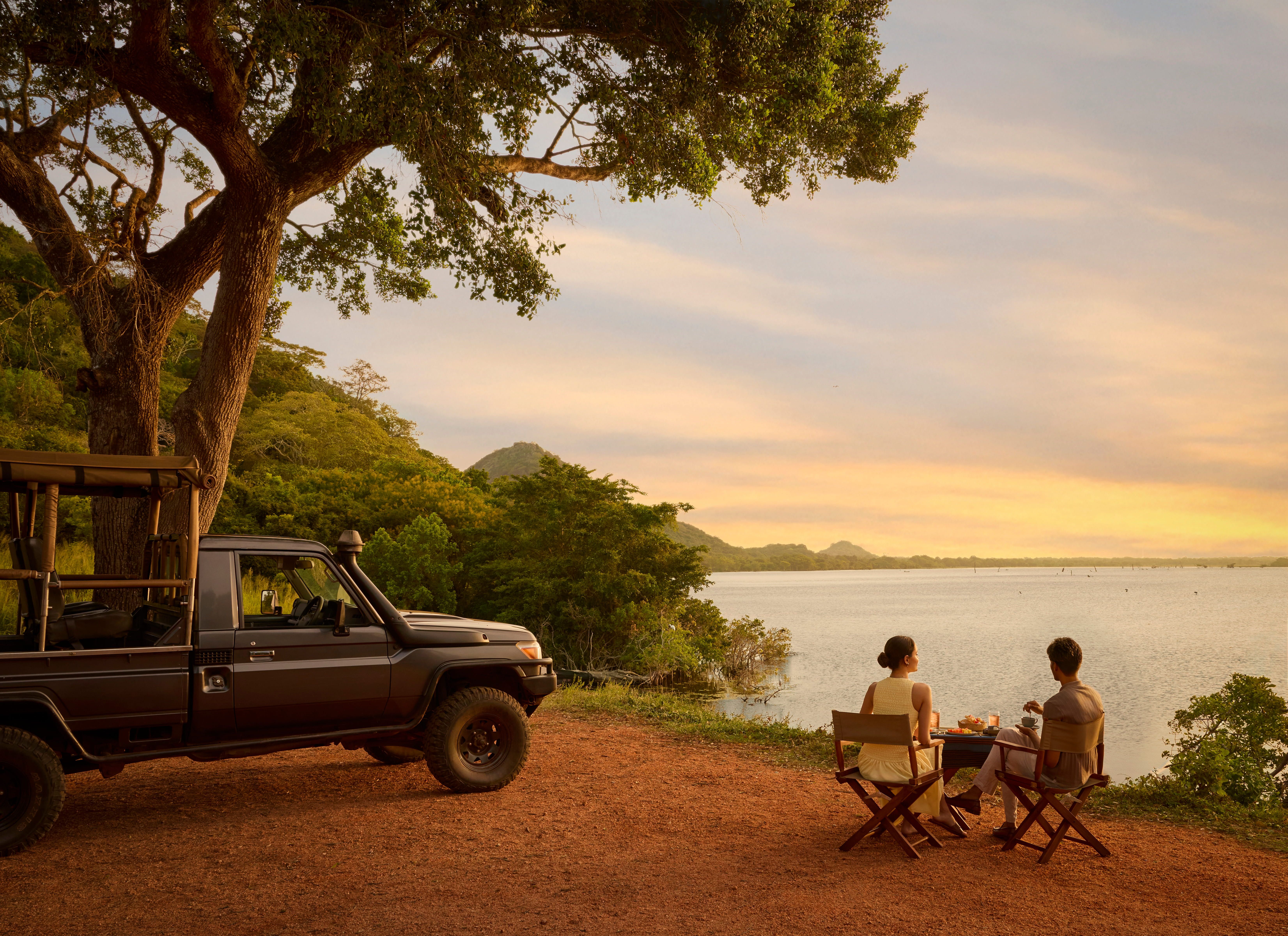 Safari 