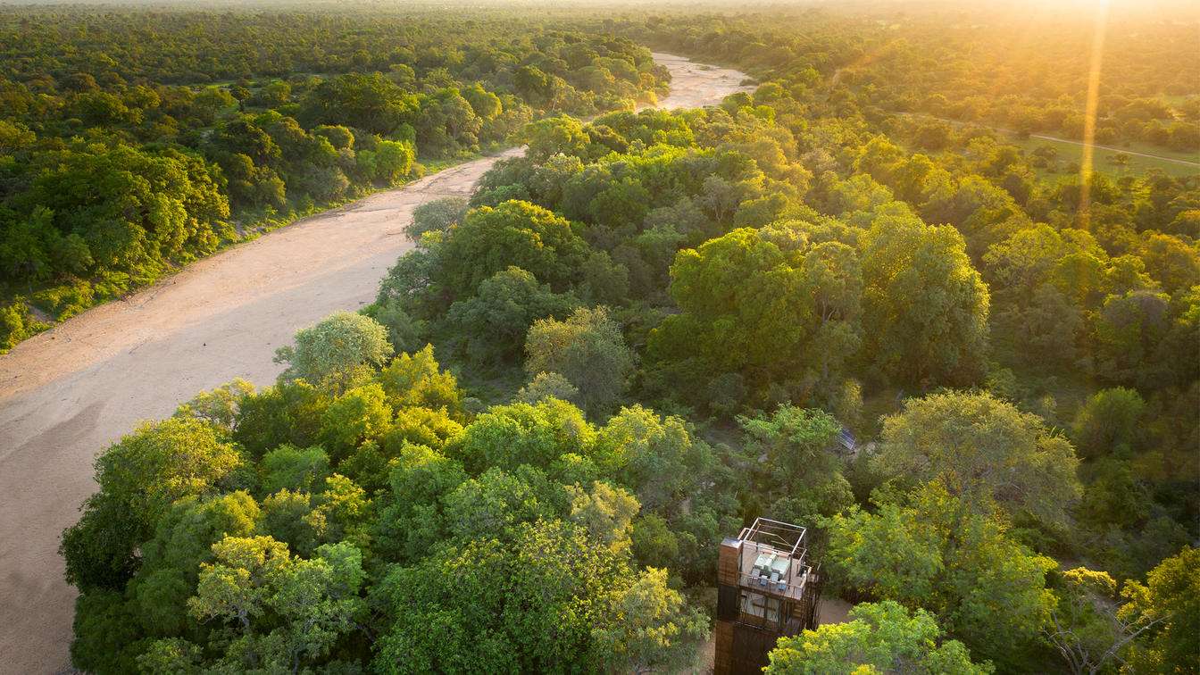 Treehouse
