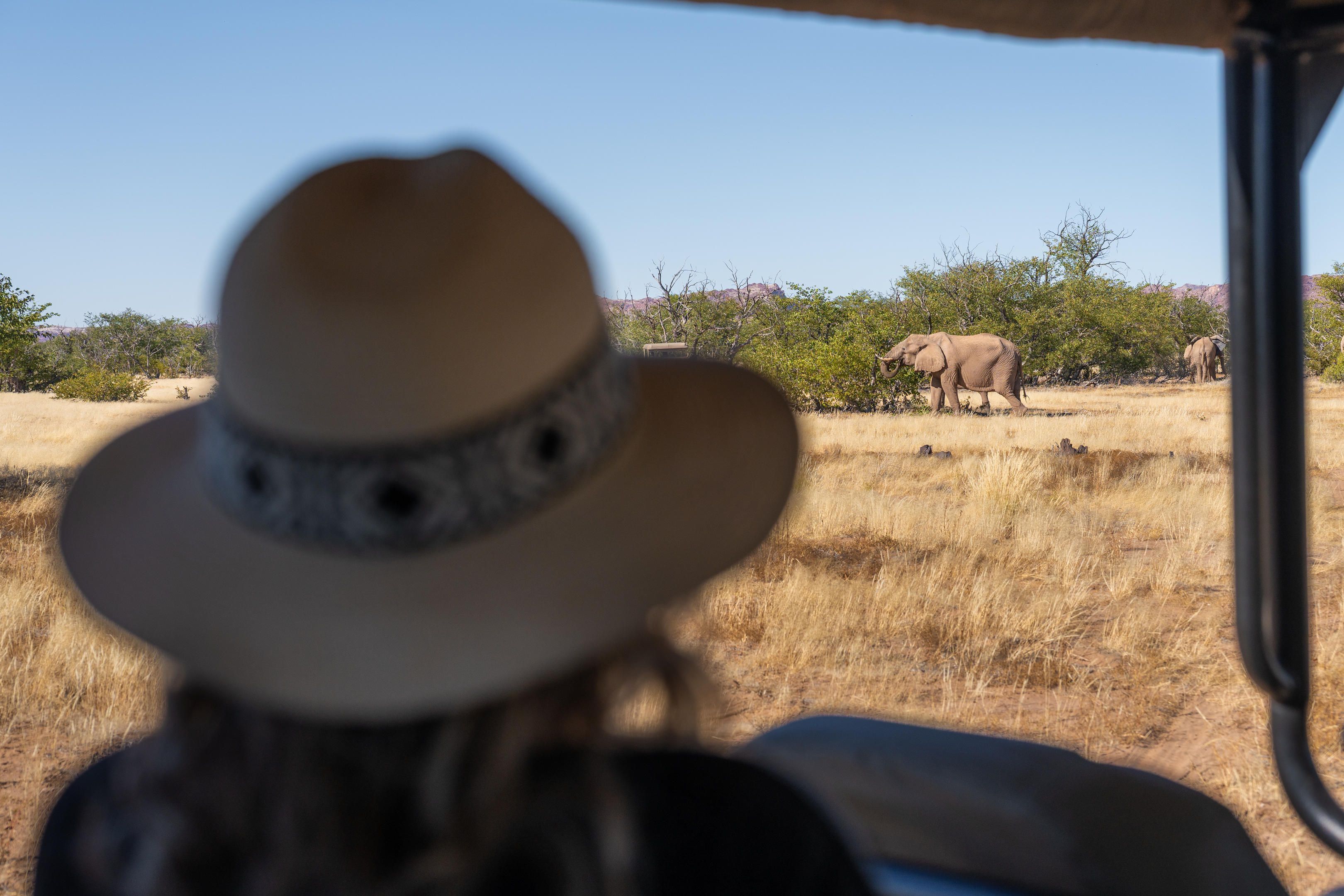 Game Drive