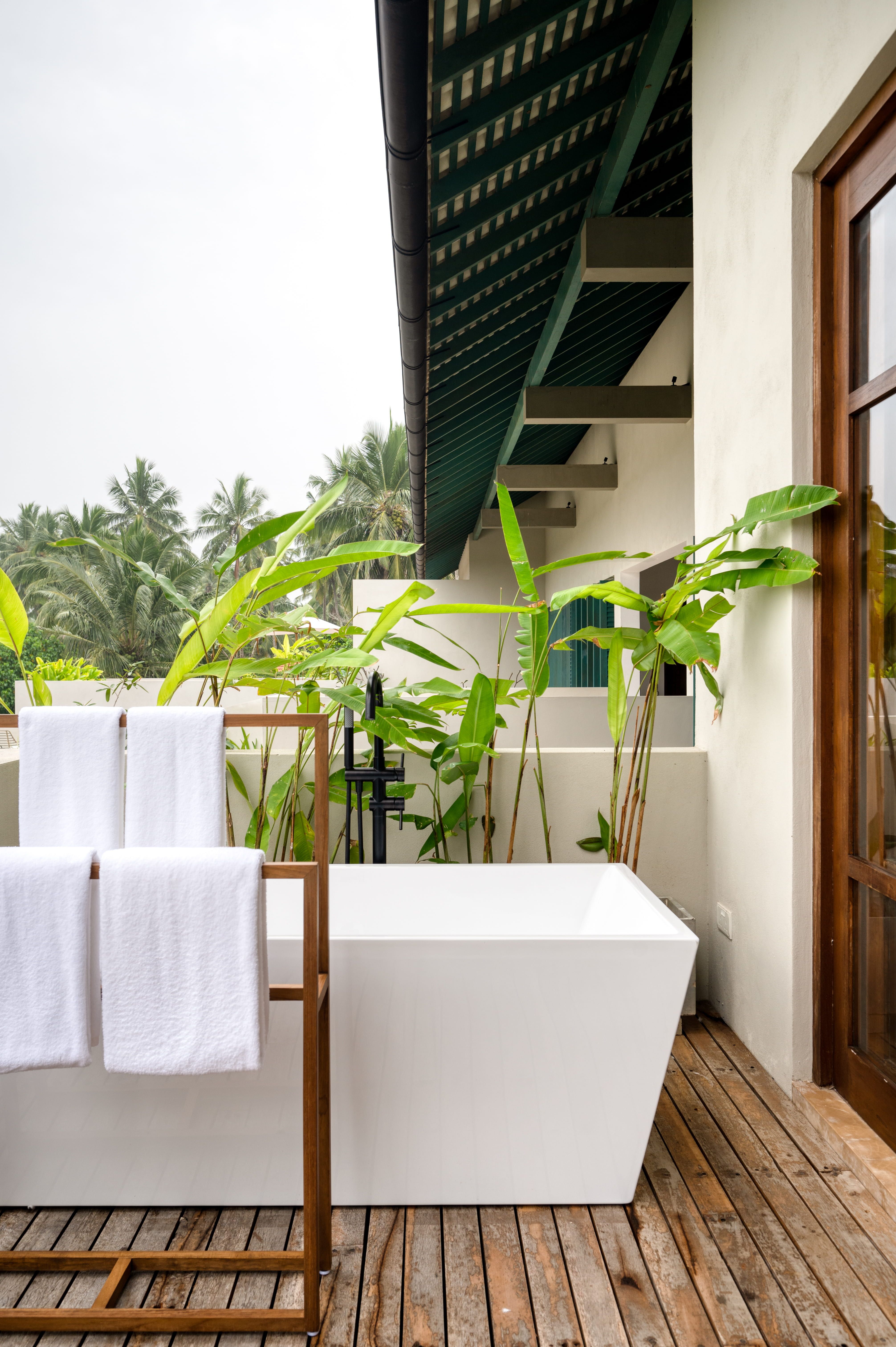 Palm View Room
