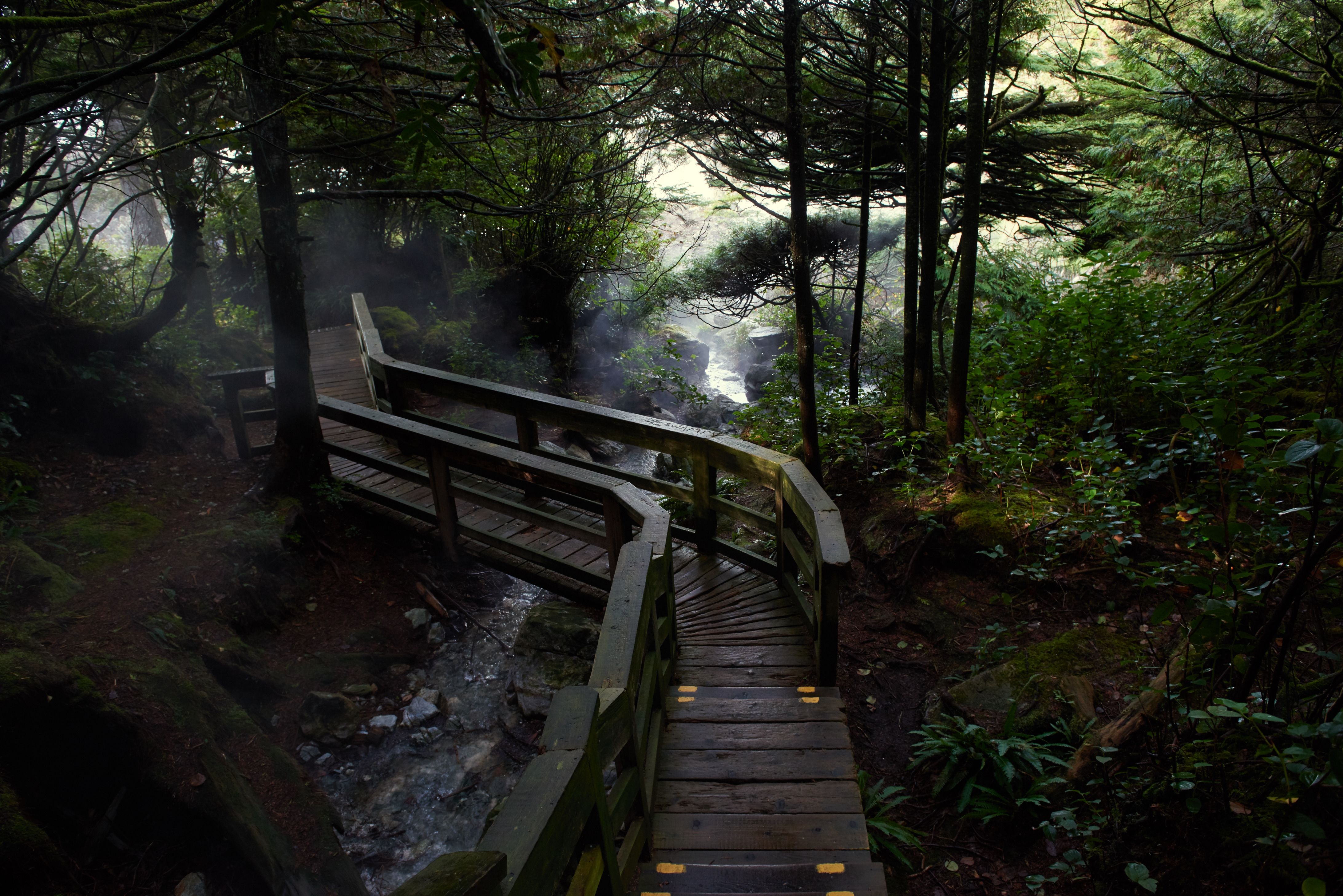 Hot Springs Boardwalk