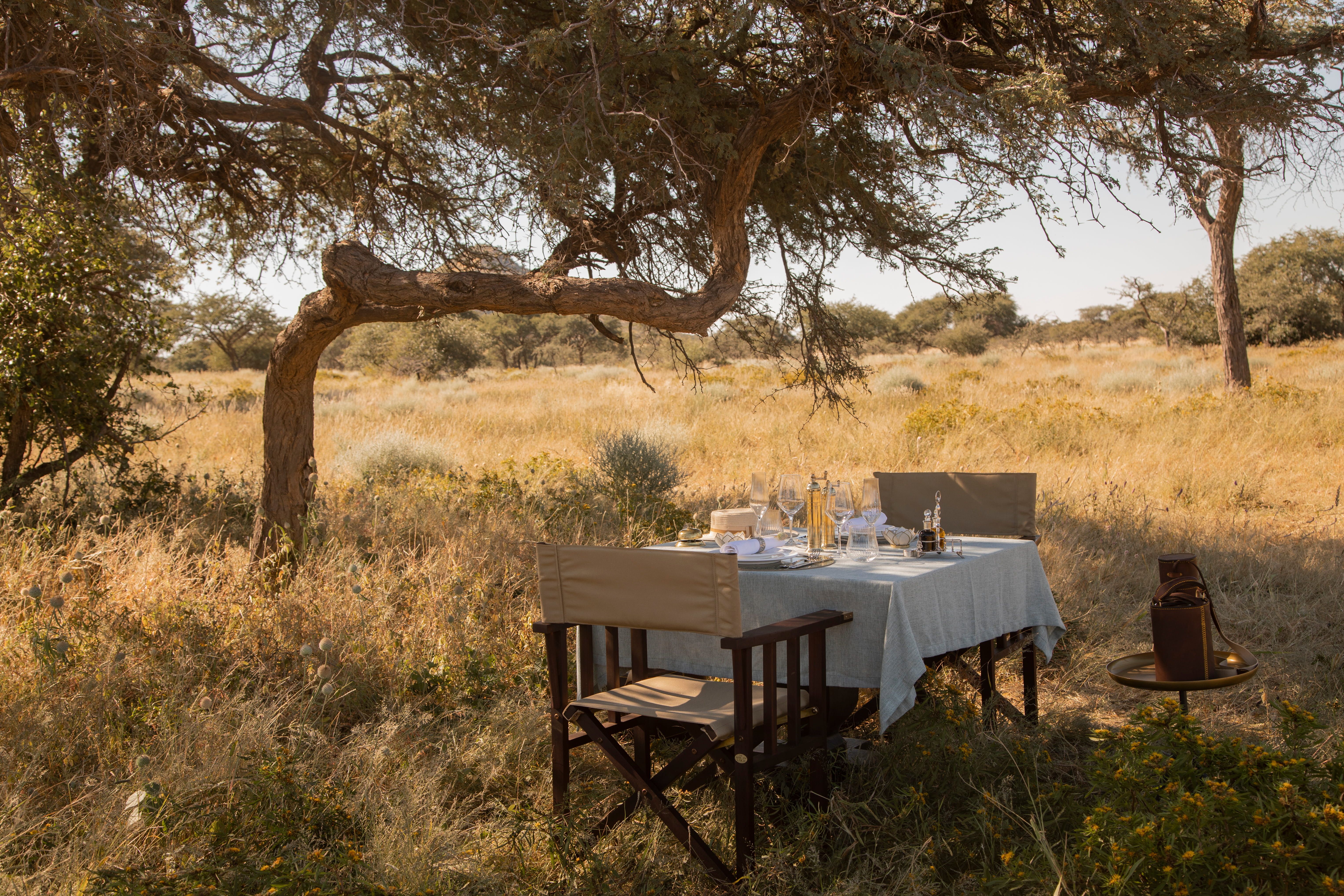 Bush lunch