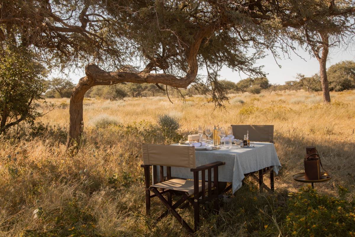 Bush-Lunch