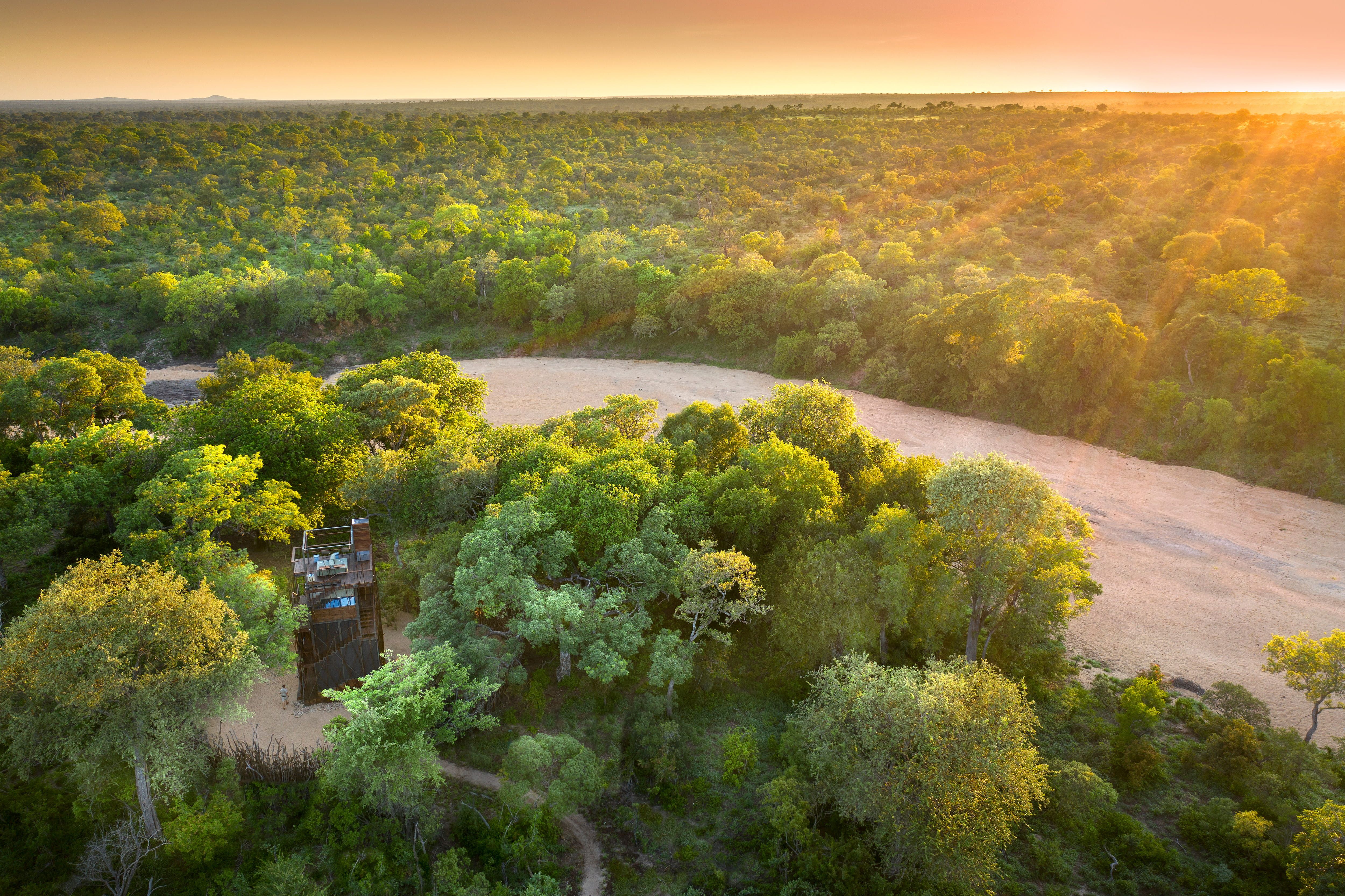 Treehouse