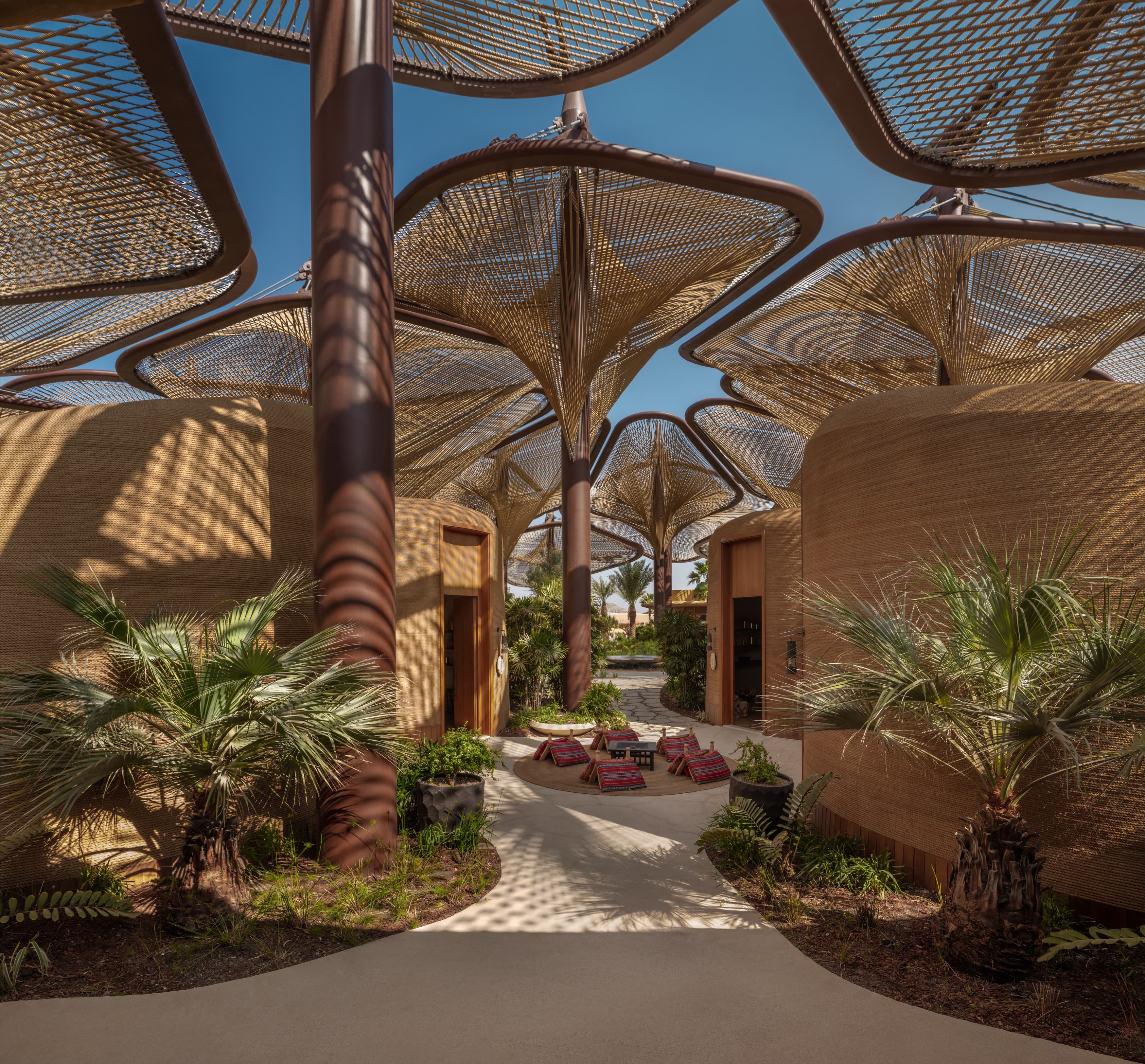 The Oasis