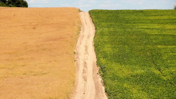 Microsoft Fabric vs Azure Synapse: What UK Mid-Market Teams Need to Know