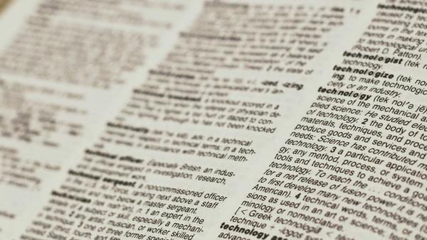 Data governance in plain English: a working glossary for growing businesses