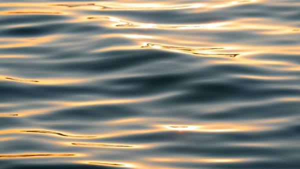 Lakehouse SQL analytics endpoint or Fabric Warehouse: which to use and when