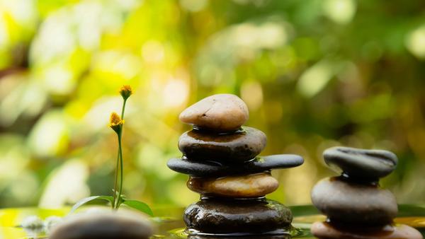 Why Your Self-Service BI Rollout Collapsed
