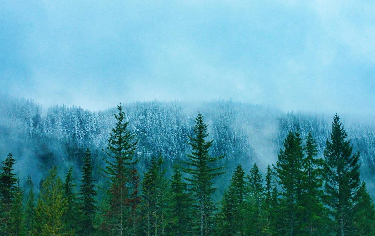 Direct Lake is fast, except when it isn't: understanding cold starts and the residency ladder