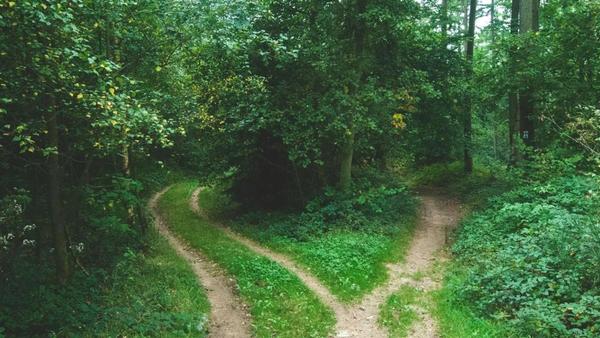 Business Central analytics in 2026: the three routes to reporting and how to choose between them