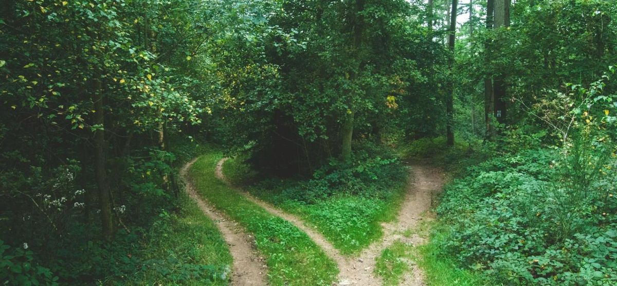Business Central analytics in 2026: the three routes to reporting and how to choose between them