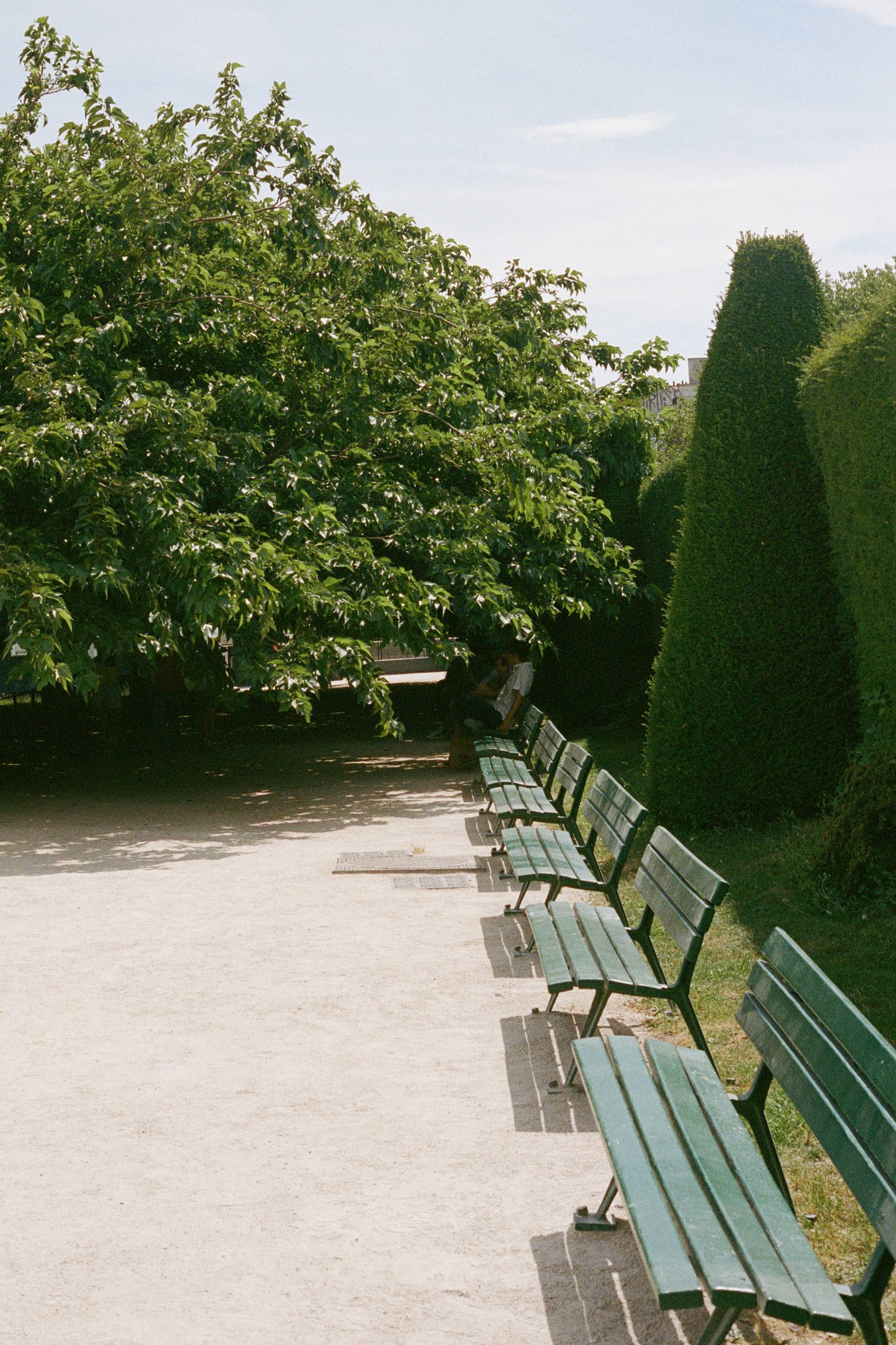 Personal Work, photograph 7 of 14