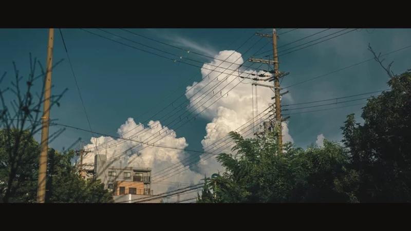 The Sky Before the Storm 