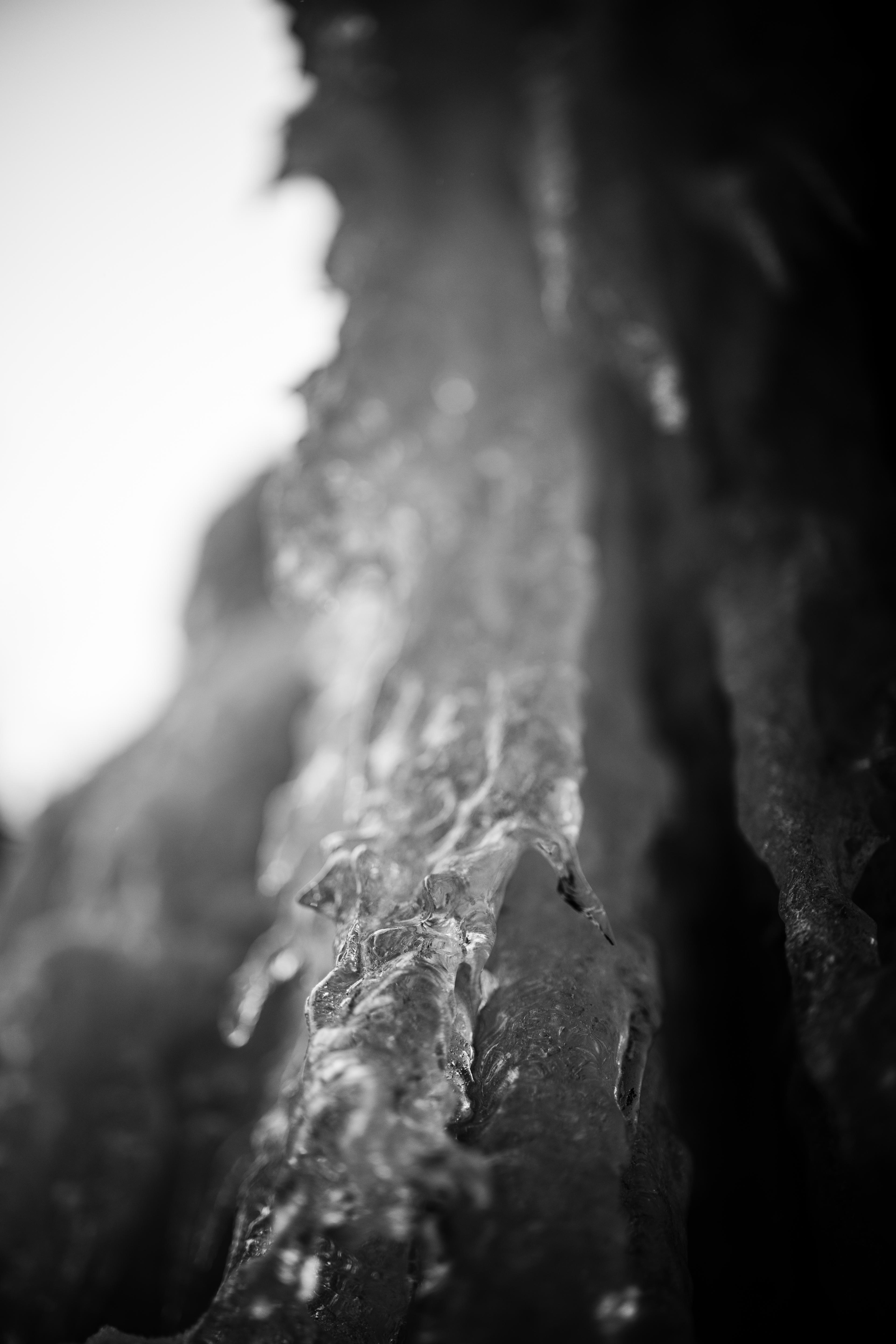 A close-up black and white photograph of an ice-covered branch with sharp, crystalline formations in sharp focus against a blurred snowy background.